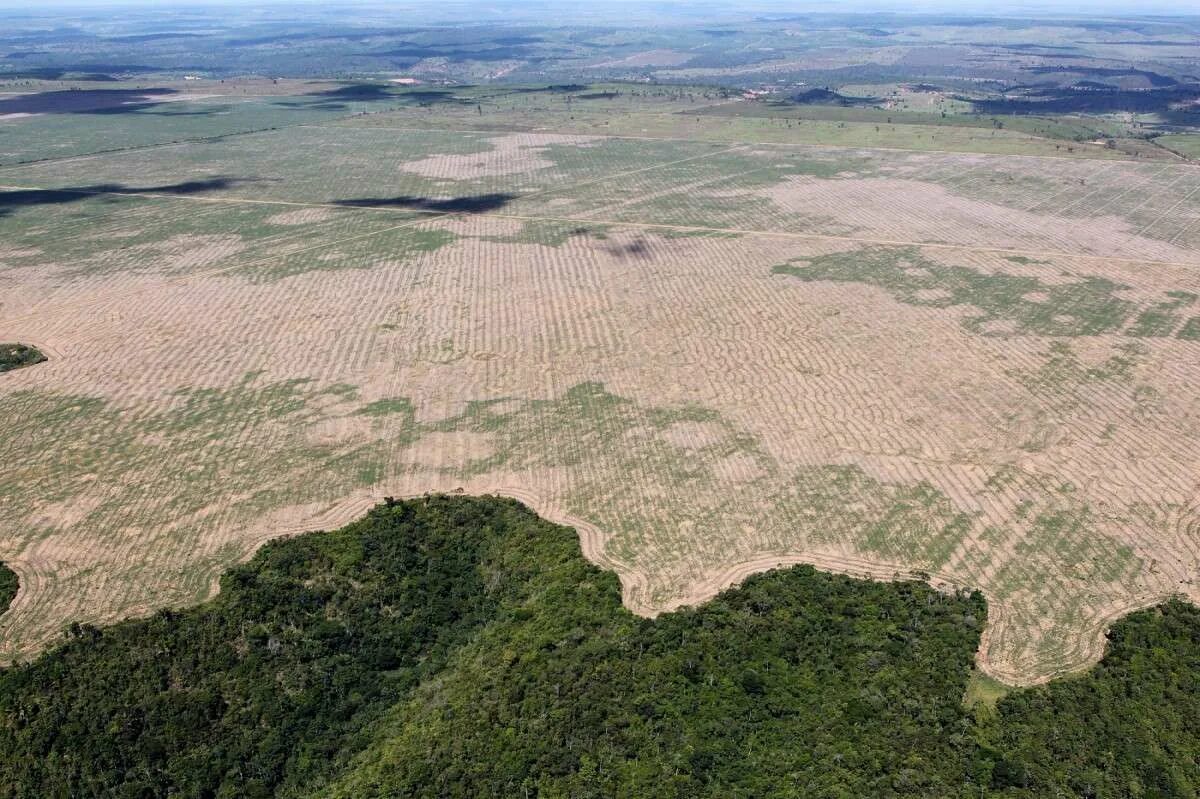 Вырубка тропических лесов Амазонии. Леса Амазонии вырубают. Вырубка тропических лесов в Бразилии. Обезлесение Амазонка.