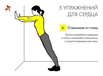 Отжимание от стены какие мышцы