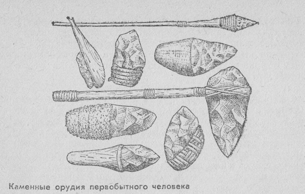Какие орудия труда использовали. Оружие неолита. Орудия труда в период неолита. Каменные орудия неолита.