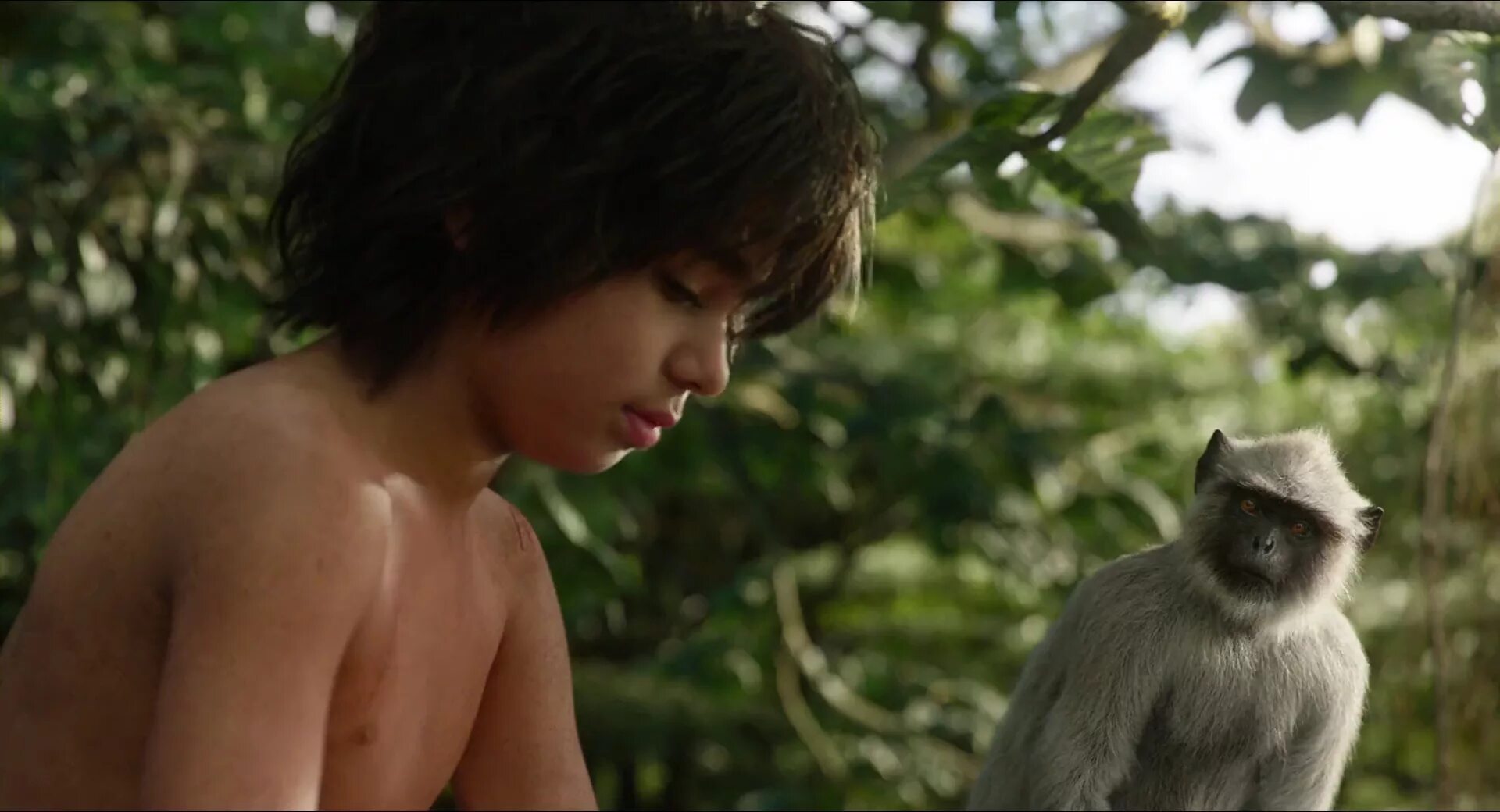 Маугли книга джунглей 2016. Фильм маугли фильм маугли. Я маугли вырос в городе. Люди которых воспитали животные. Вторая книга джунглей 1997.