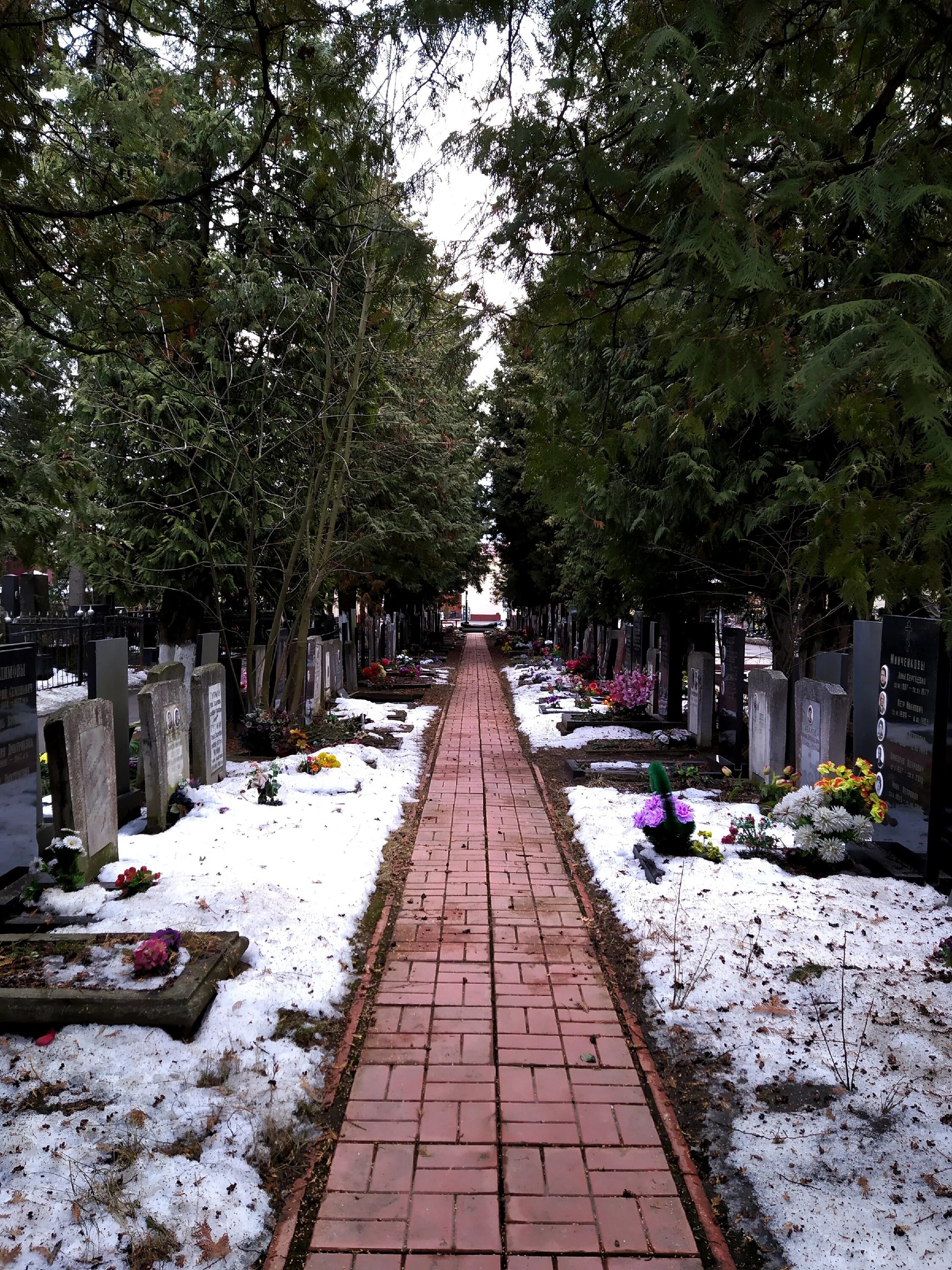 Головинское кладбище Москва. Московские могилы Головинское кладбище. Головинское кладбище могилы. Головинское кладбище Москва могилы. Кладбища москвы отзывы