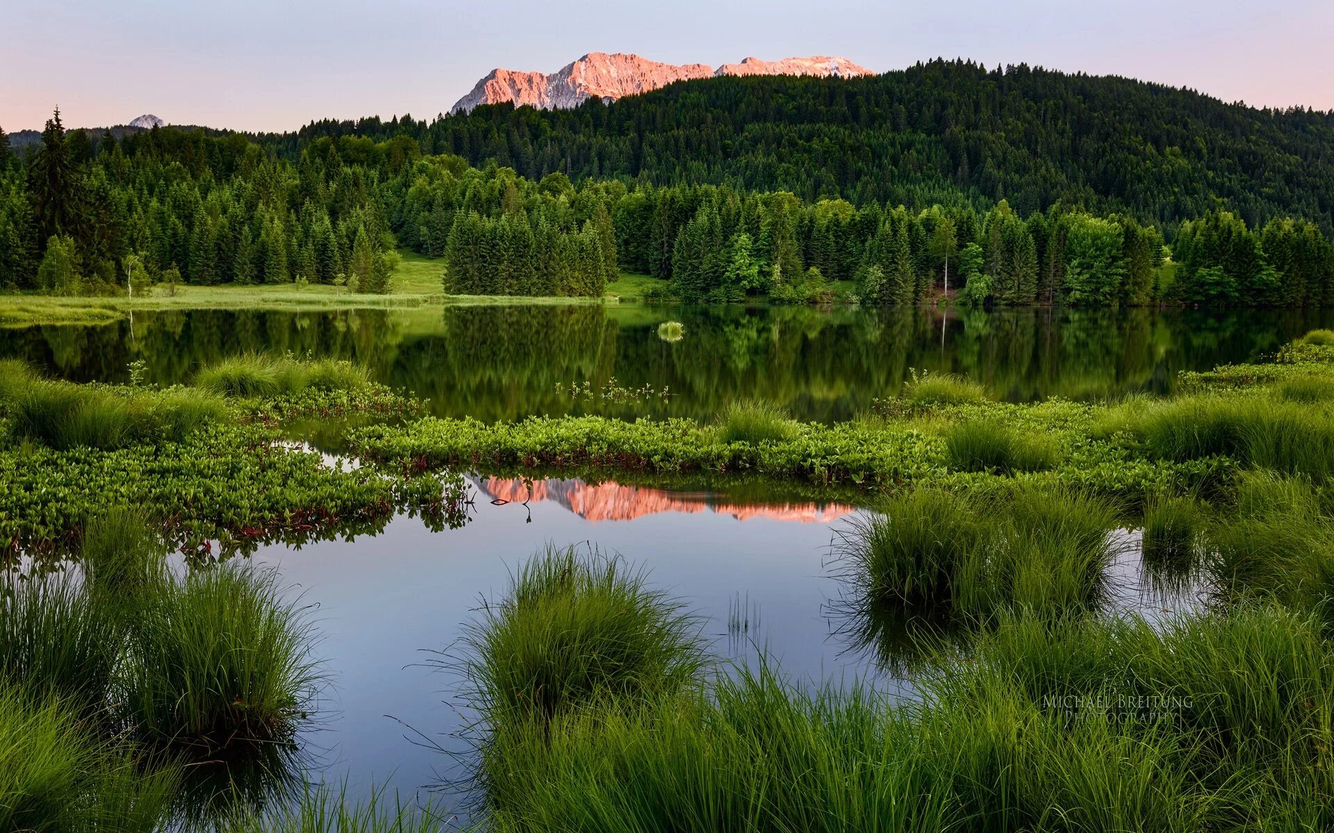 Уникальные экосистемы. Зелёное озеро Луга. Горы лес озеро река Поляна. Природа водоем. Водоем в лесу.