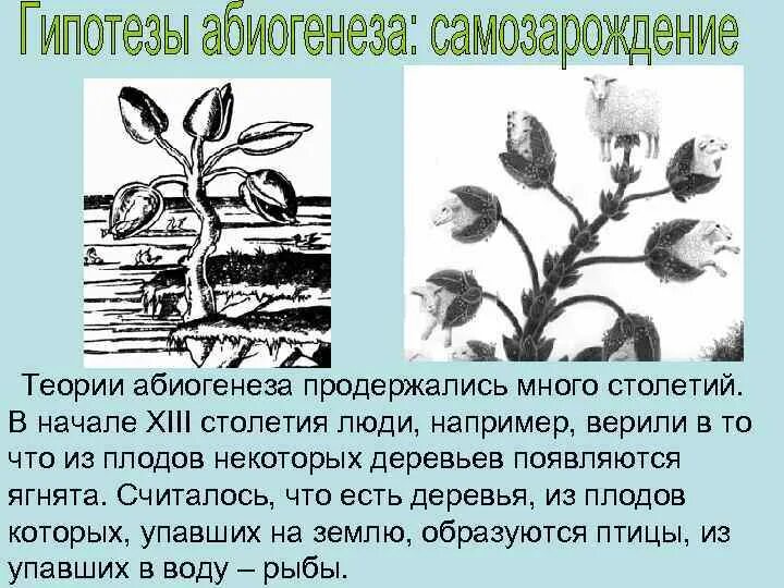 Суть теории самозарождения жизни. Гипотезы абиогенеза самозарождение. Абиогенез теория зарождения жизни. Гипотеза самозарождения жизни абиогенеза. Сторонники теории абиогенеза.