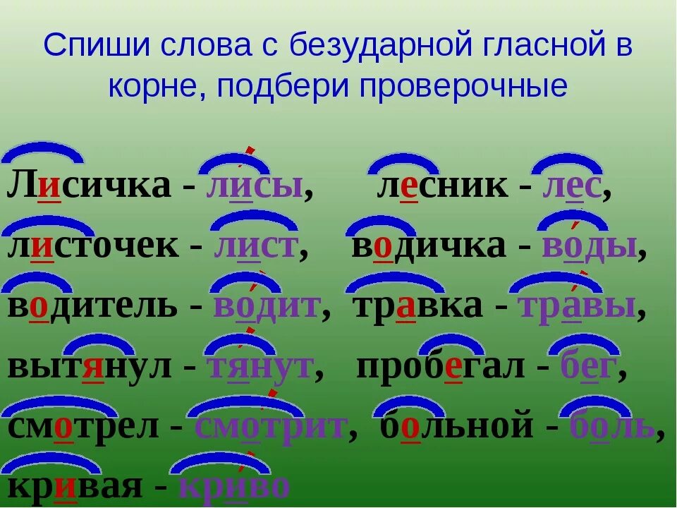 15 безударных слов. Слова с проверяемыми безударными гласными в корне. Слова с проверяемой безударной гласной. 3 Слова с безударной гласной в корне. Слова с безударной гласной в корне список.