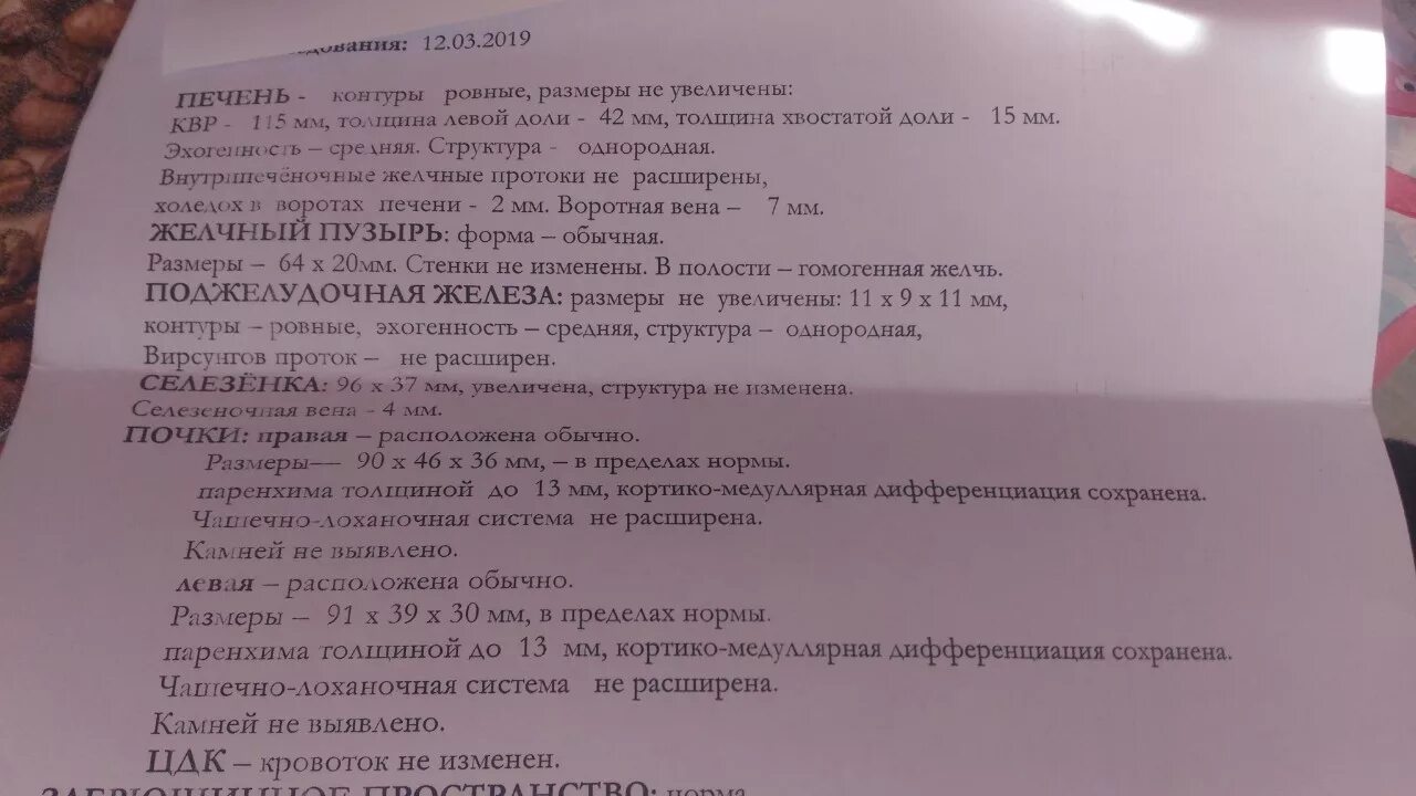 Диффузные изменения почек на узи протокол. Кортико-медуллярная дифференциация. Узи почек протокол норма. Кортико медуллярная дифференцировка лимфоузла. Кортико-медуллярная дифференциация сохранена.