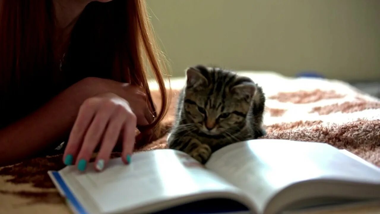 Девушка с книгой и котом. Девушка книжка кот. Девушка с котом смешные. Книга для детей про кота. Девочка читает с котиком.