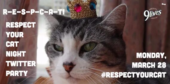 Уважение кошки. Всемирный день уважения кошек. Праздник день уважения кошки. Respect your Cat Day.