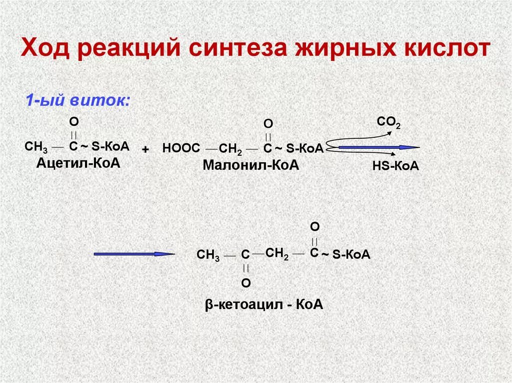 Толстой синтез. Синтез жирных кислот биохимия реакции. Реакции восстановления в процессе синтеза жирных кислот. Синтез высших жирных кислот реакции. Синтез жирных кислот из ацетил КОА реакции.
