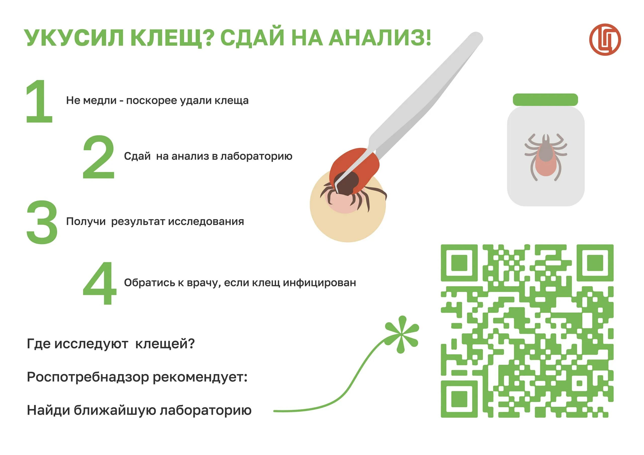Сдача анализов после укуса клеща. Исследования крови после укуса клеща. Анализ крови после укуса клеща когда сдавать. Какие анализы сдать после укуса клеща. Экстренная профилактика клещевого боррелиоза.
