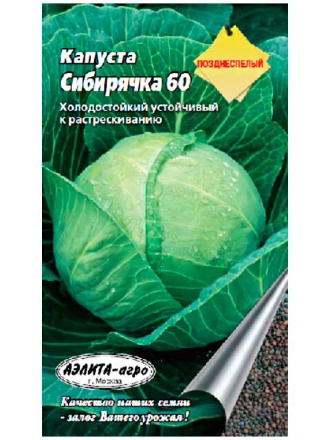 ПОИСК Агрохолдинг Капуста белокочанная Сибирячка 60 - купить по выгодным ценам в