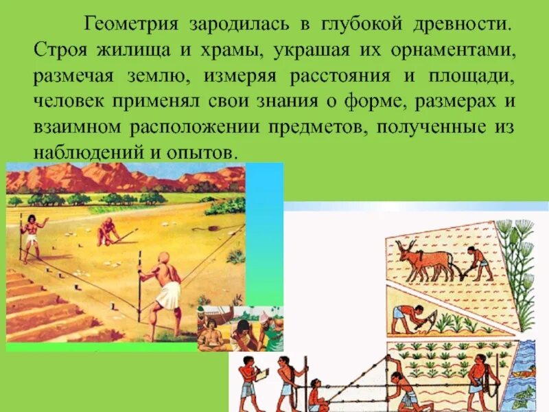 Управление в глубокой древности. Геометрия в древности. Геометрия в туризме. Землемерие в древней Греции. Геометрия в земледелии.