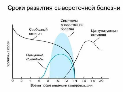 Время развития