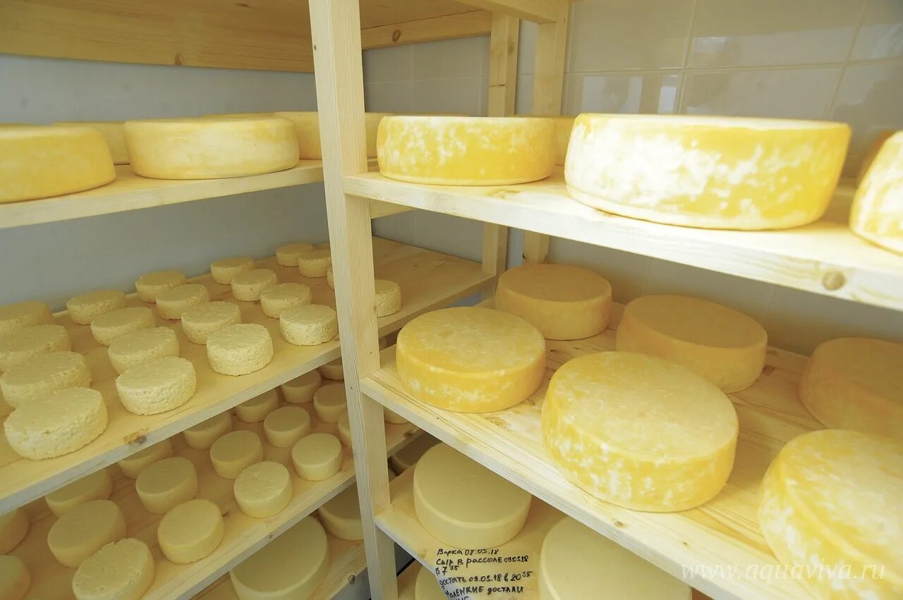 сыроварня александро. сыроварня александро-невской лавры санкт-петербург. сыроварня в александро невской лавре. белорусский сыр формаджио. богатырская земля муром сыроварня.