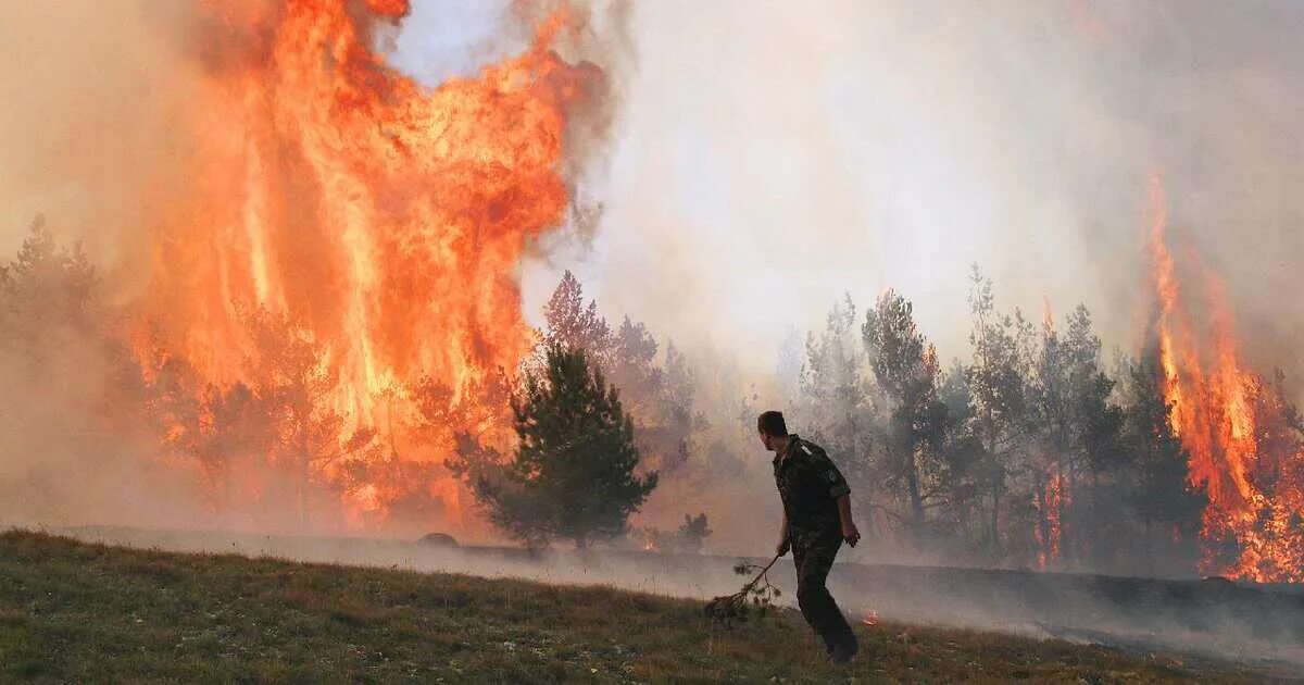 Человек в Лесном пожаре. Человек и пожар в лесу. Человек поджигает лес. Пожар по вине человека. Згораю или сгораю