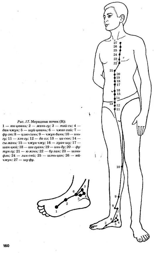 Определить болевые точки почки у детей. Меридиан почек в китайской медицине точки. Точки почек. Точки почек. Точки акупунктуры при болезни почек.