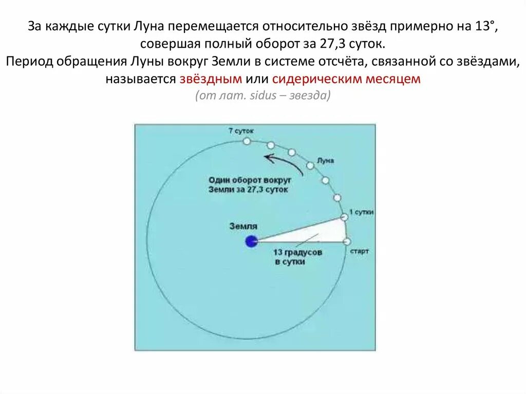 Период обращения Луны вокруг солнца. За каждые сутки Луна перемещается относительно звёзд примерно на 13. Период обращения Луны вокруг земли относительно звёзд. Полный оборот вокруг Луны. Скорость орбиты луны