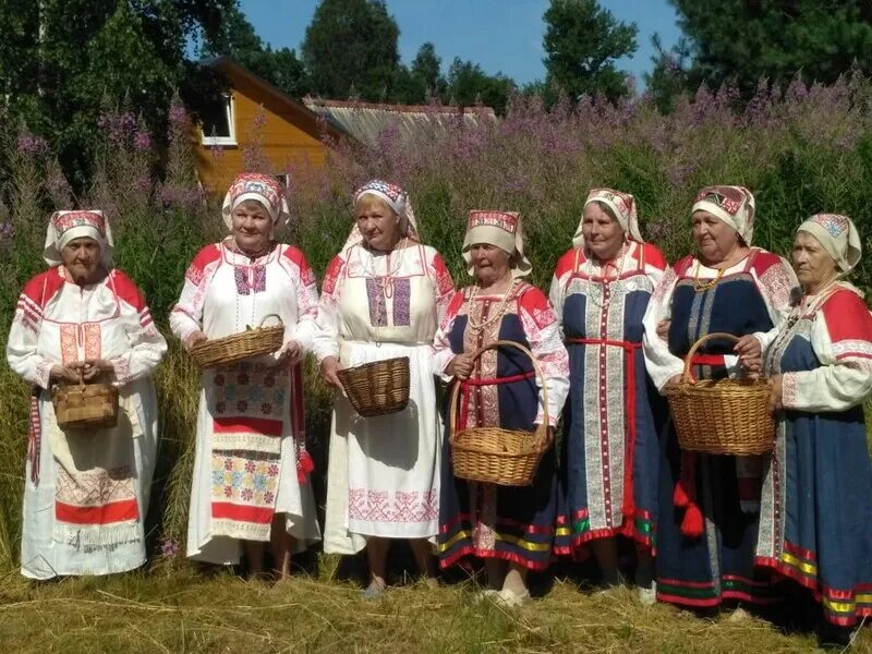 Вожане водь. Вожане водь народ. Водь народ в Ленинградской области. Вепсы Ижоры водь.