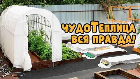 Сайт сибирские чудо теплицы