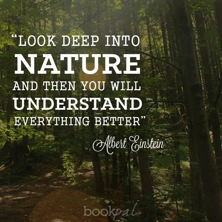 Everything is better. Look deep into nature, and then you will understand everything better.. look deep into the nature quotes. look deep into the nature and you will understand everything better. then you will.