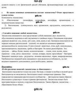Параграф 44