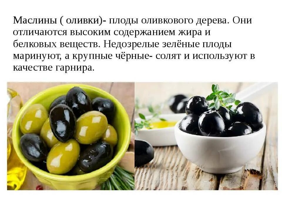 Польза косточек маслин. Оливки это недозрелые маслины. Оливки это недозрелые маслины или нет. Оливки и маслины разница. Маслины от оливок.
