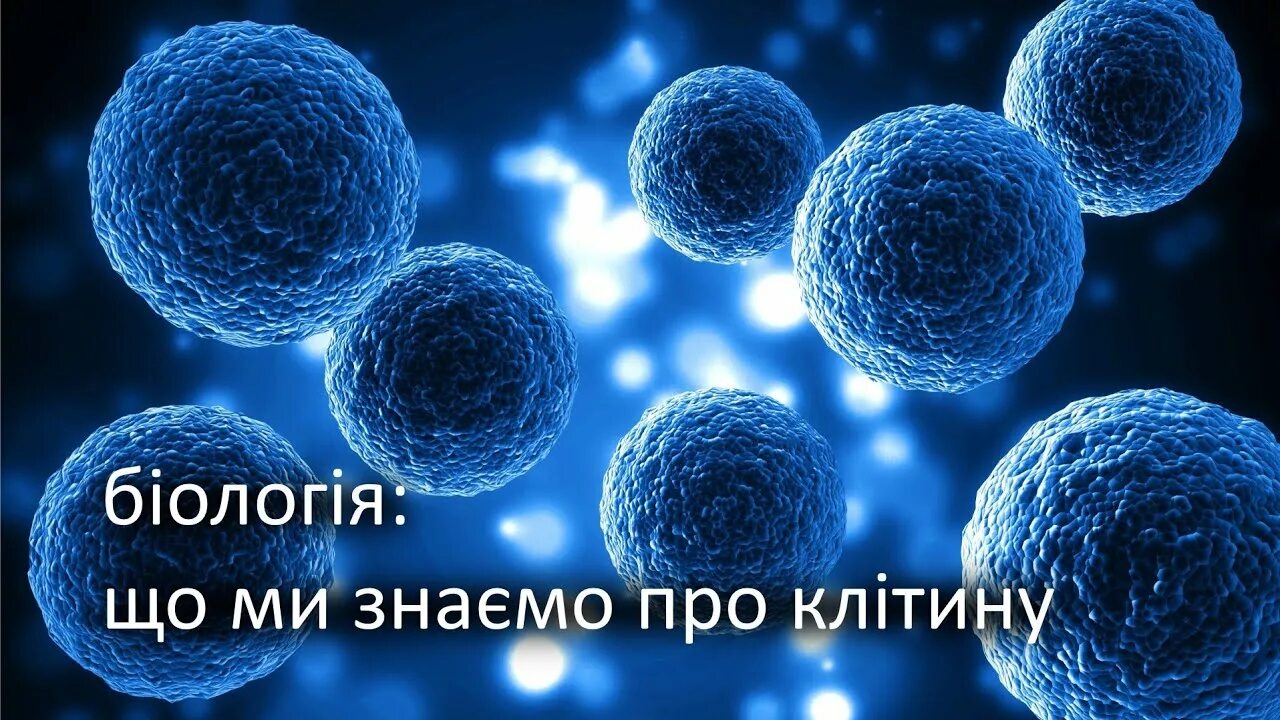 Синтетические клетки. Клонирование клеток. Первая синтетическая бактериальная клетка. Синтетическая бактерия синтия. Искусственная клетка.