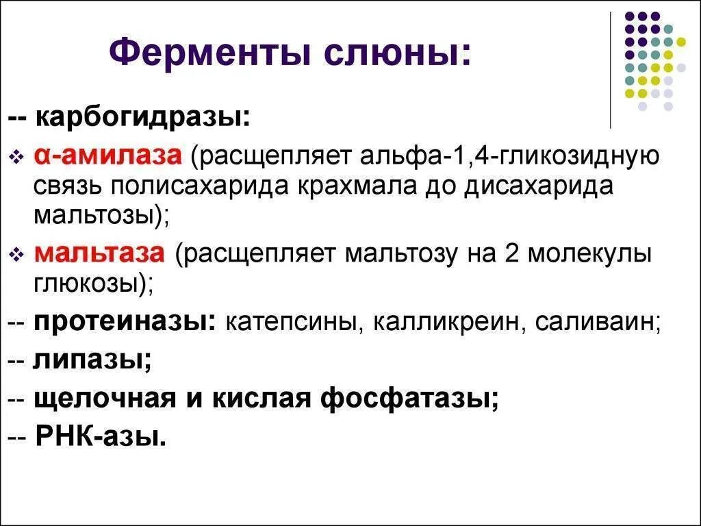 Ферментом слюны является. Амилаза слюны. Ферменты слюны. Фермент Альфа амилаза слюны. Карбогидразы это ферменты расщепляющие.