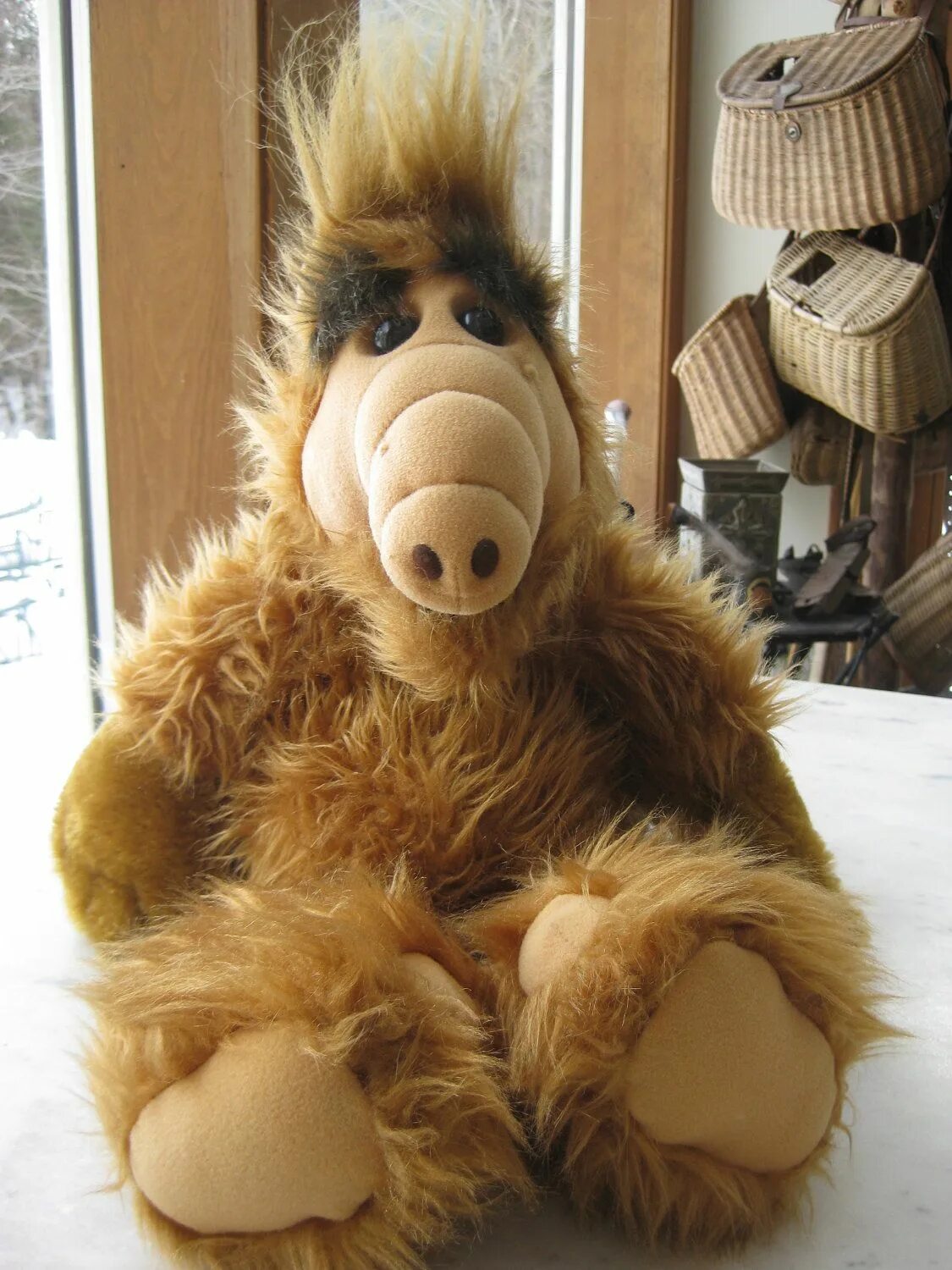Купить игрушку альфа. Игрушка Alf 1986. Куклы Alf. Альф игрушка.
