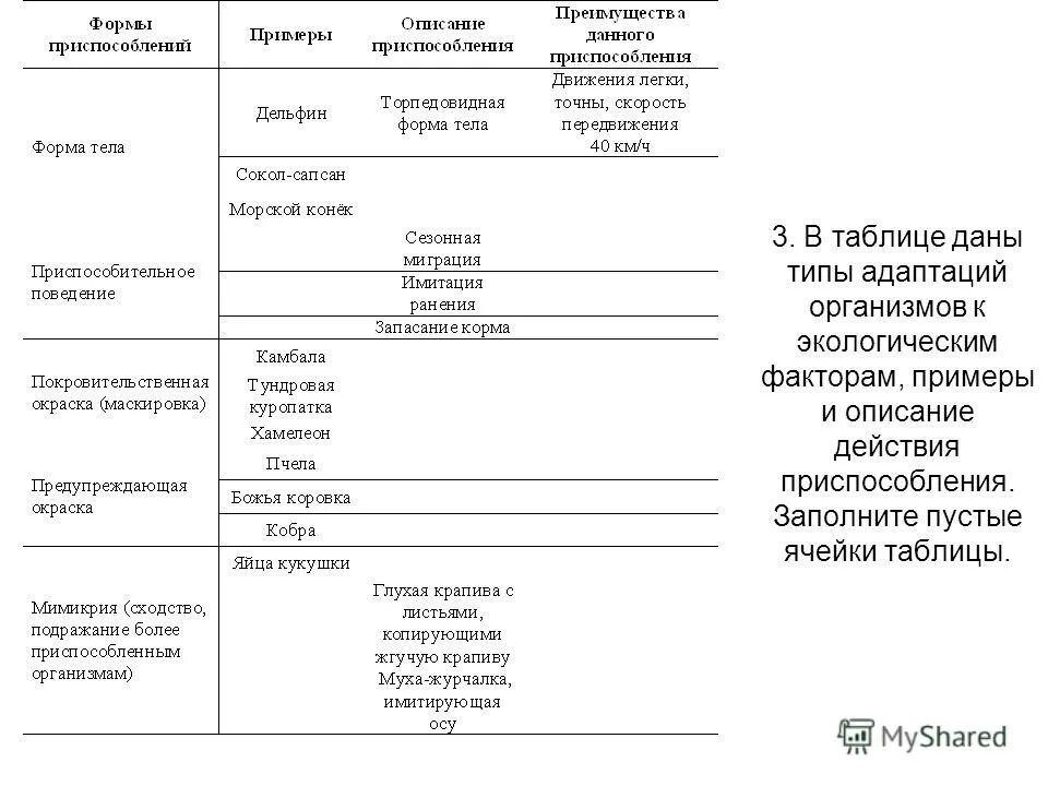 Пример адаптации организмы таблица