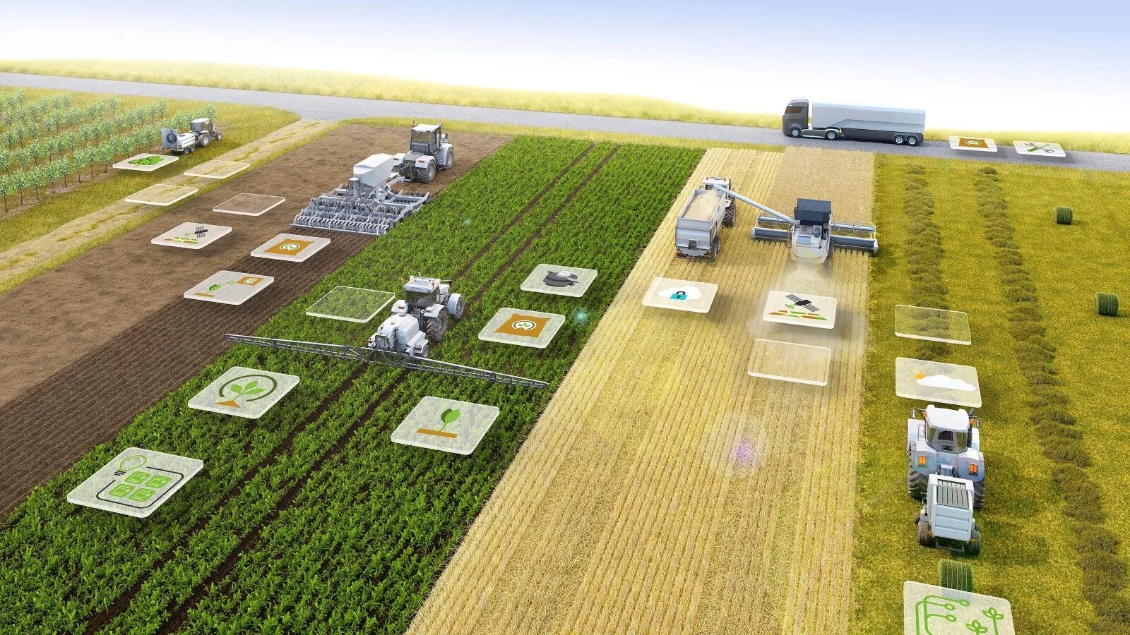 Technical field