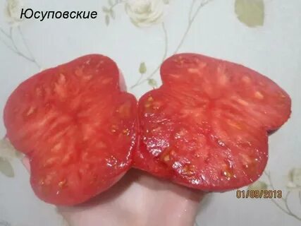 Характеристика томата сорт юсуповский