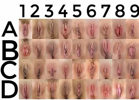 Imagenes de las mejores vaginas 