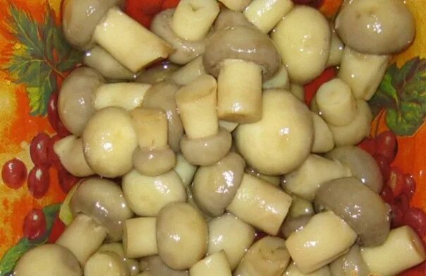 Что делают с шампиньонами на зиму