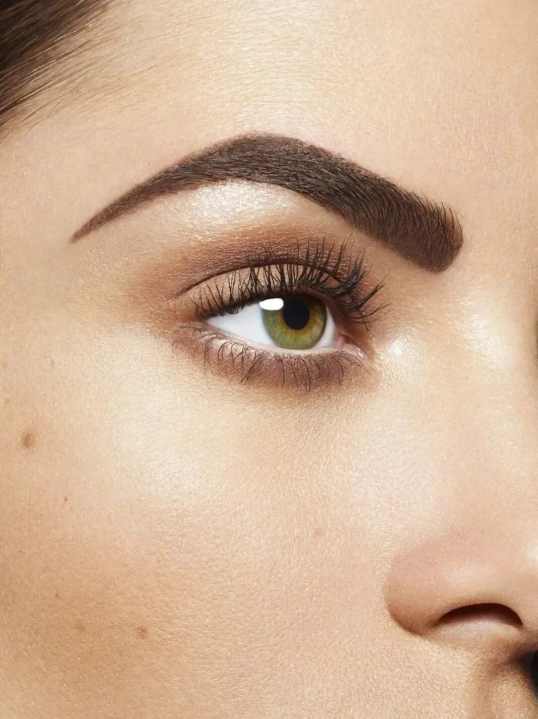 Темно коричневые брови. Темно коричневые брови. Красивые брови. Макияж в бежево-коричневых тонах. Макияж для темных волос.