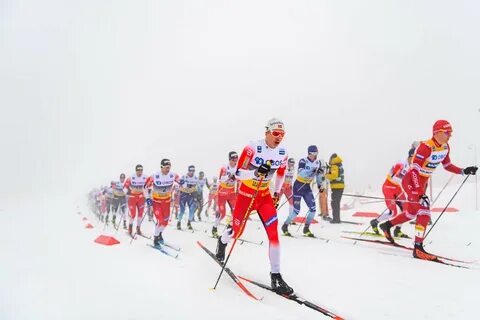 Трансляция лыжных гонок сегодня