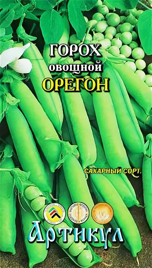 Горох Орегон Шуга. Фасоль овощная Фиеста. Горох овощной Орегон Шуга. Горох орегон