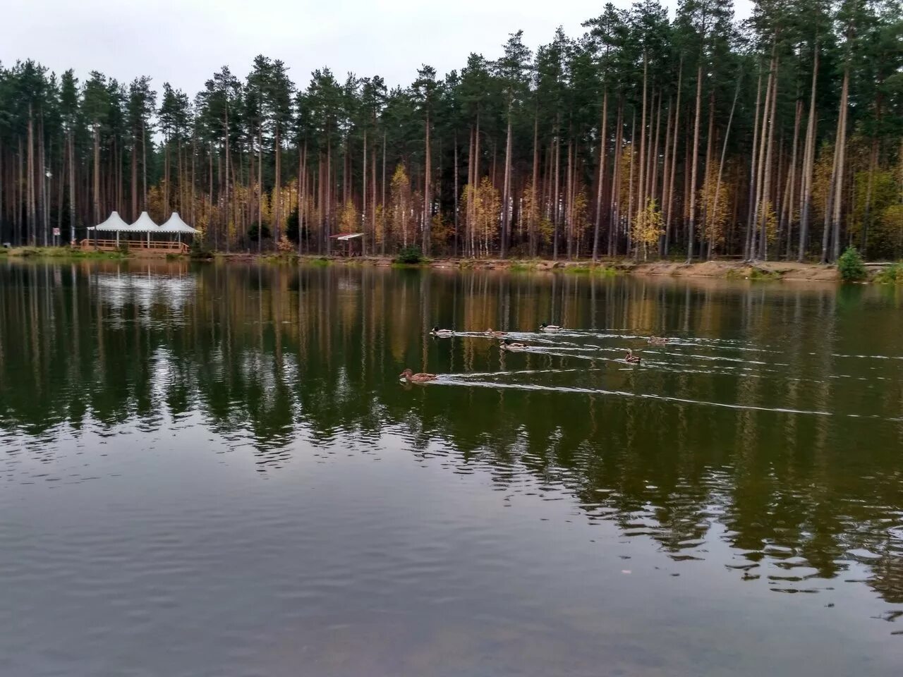 Kalynivka Украина озеро Песчаное. Суоранда озеро. Озеро с барханами в Ленинградской области. Суоранда Ленинградской области. В москве есть озера