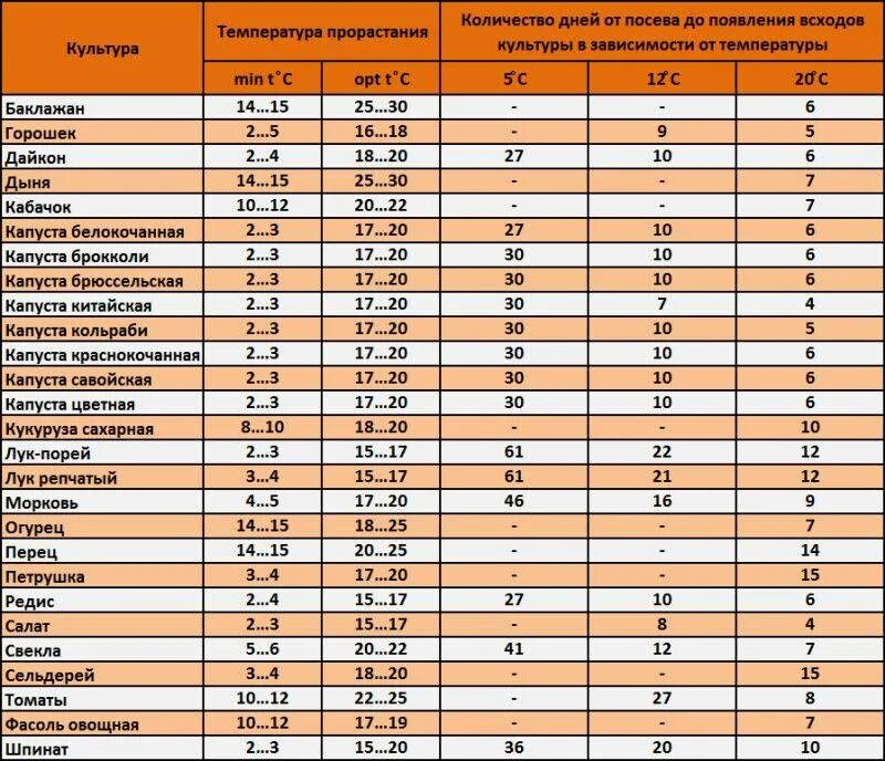 Температура для рассады после всходов. Сроки всхожести семян таблица. Оптимальная температура для прорастания семян. Температура прорастания семян таблица. Сроки прорастания семян таблица овощей.