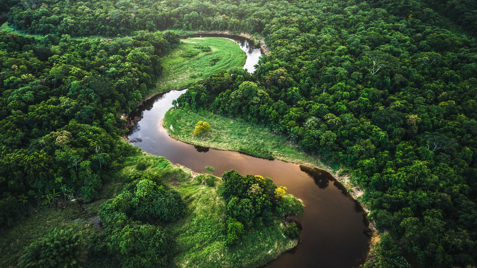 Реки страны бразилия. Бразилия джунгли амазонки. Дождевые леса Амазонии. Атлантический лес Бразилии. Река бемариву.