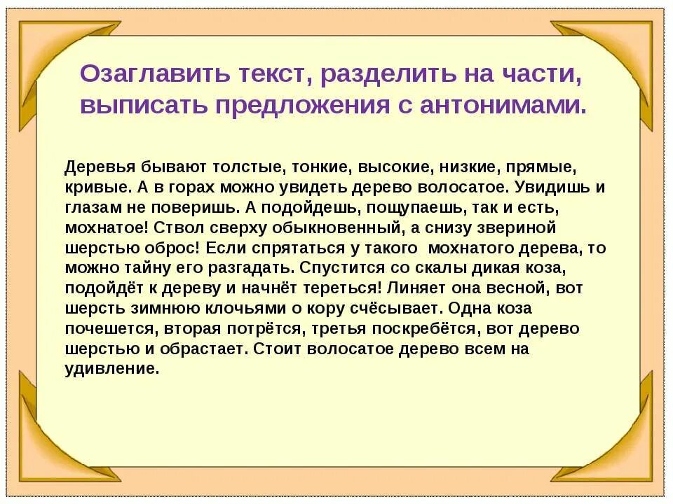 Текст с антонимами. Предложения с антонимами. Сочинение с использованием антонимов. Текст с использованием антонимов.