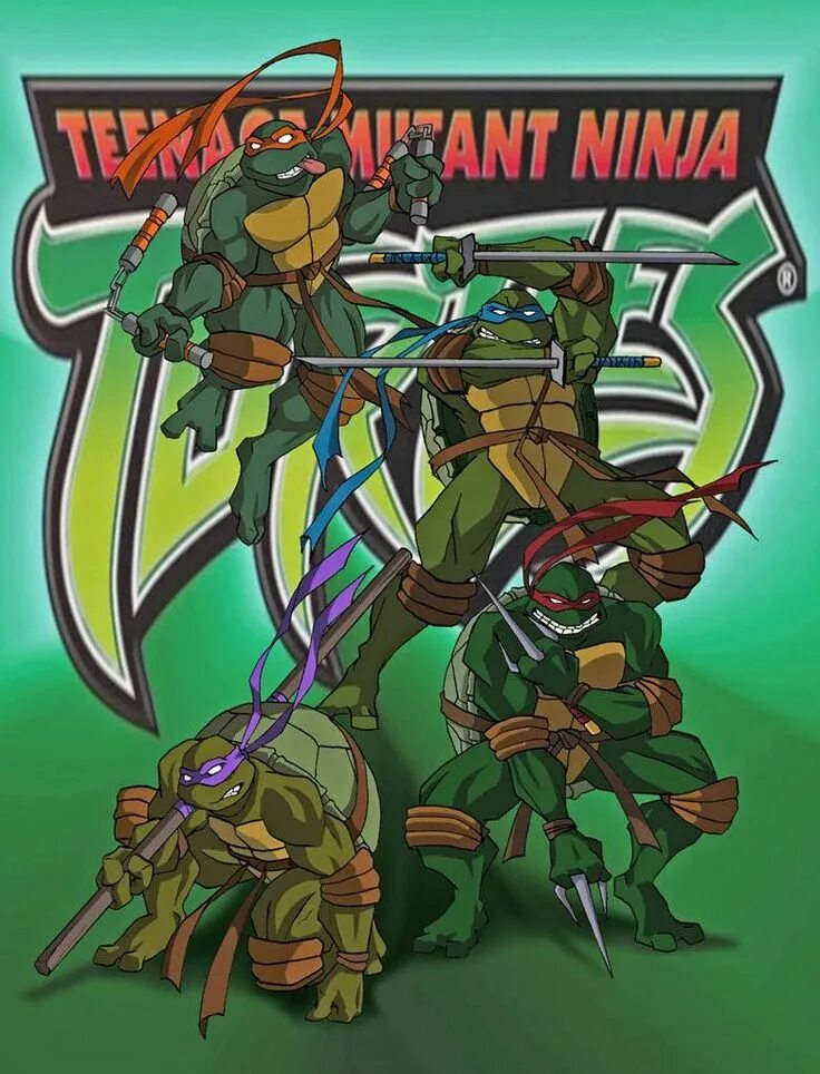 Новые черепашки ниндзя 2003. TMNT 2003 комикс. Черепашки ниндзя 2003 Постер. TMNT 2003 обложка. Teenage Mutant Ninja Turtles 2003 Постер.