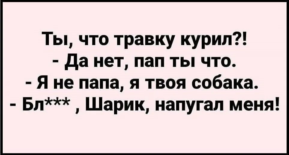 Ты снова куришь снова слезы слова. Ты что травку курил. Ты что травку курил да нет пап. Да я курю траву волк. Ты опять курил травку.