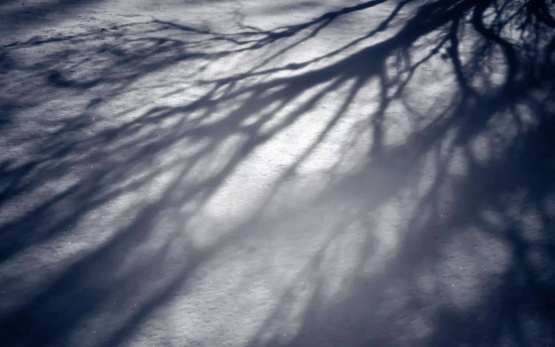 Winter shadows