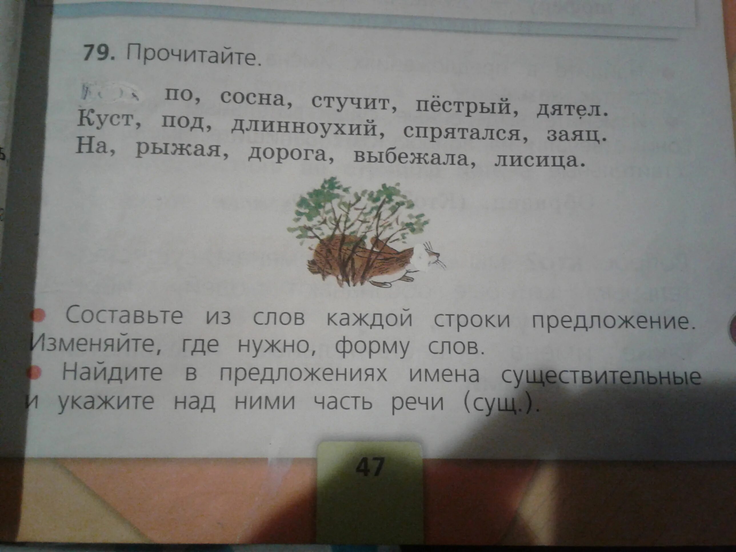 Разбор слова хвойный. Пестрый дятел стучит по коре сосны. Заяц спрятался под кустом. Придумать предложение с стучал дятел.