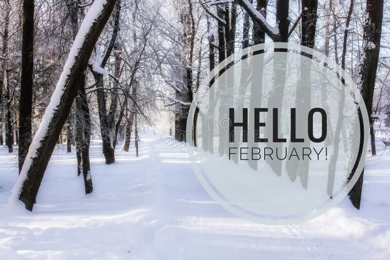 Hello February картинка. Hello февраль. Картинка hello февраль. Hellow Febraly.