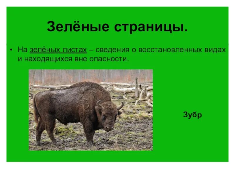 Проект про красную книгу зеленая страница Проект по окружающему миру "Красная книга или возьмем под защиту"