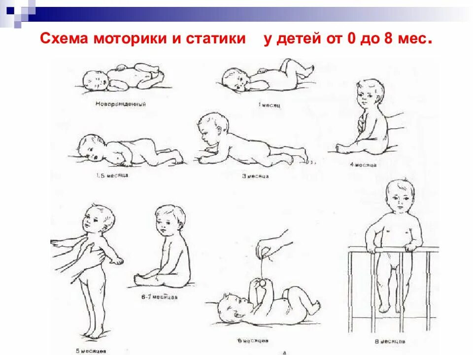 Развитие статики у детей. Схема развития ребенка. Развитие ребенка до года. Этапы физического развития грудничка.