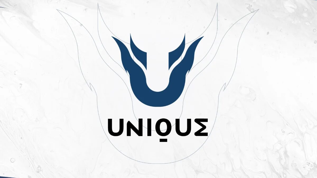 Unique egamers. Логотип Team unique. Team unique Dota 2. Team unique аватарка. Тим Юник Фрозен.