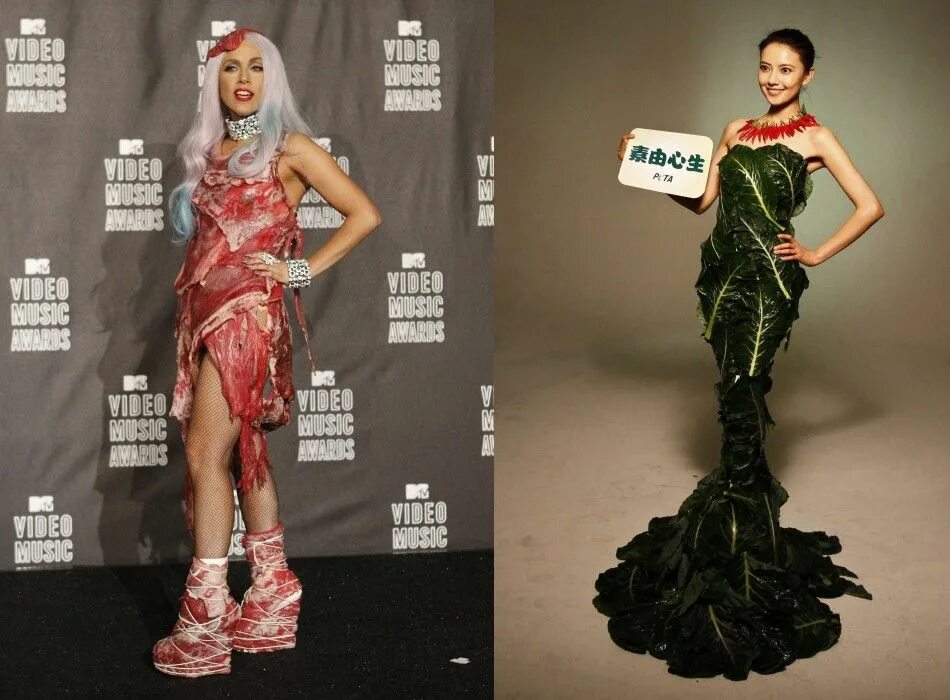 Мясной леди гага. Мясное платье леди Гаги. Леди Гага платье из мяса. Леди Гага костюм из мяса. Леди Гага мет Гала мясное платье.