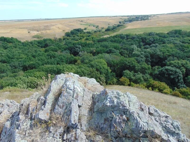 Природно заповедный фонд. Ново Андрияшевка заказник. Ботанические заказники. Обушок заказник. Уйский заказник Челябинской области.